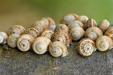 3DM速报：大镖客初代&给她爱4重制或停止，腾讯“掌上Wegame”退市