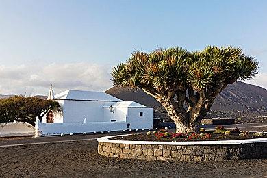 NEOWIZ魂类动作RPG游戏<lies of=