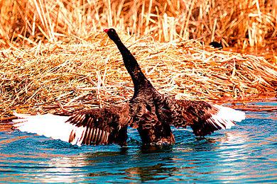 《劳务派遣》10月22日正式推出 超级英雄职场冒险